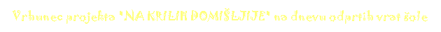 projekt.gif (1989 bytes)